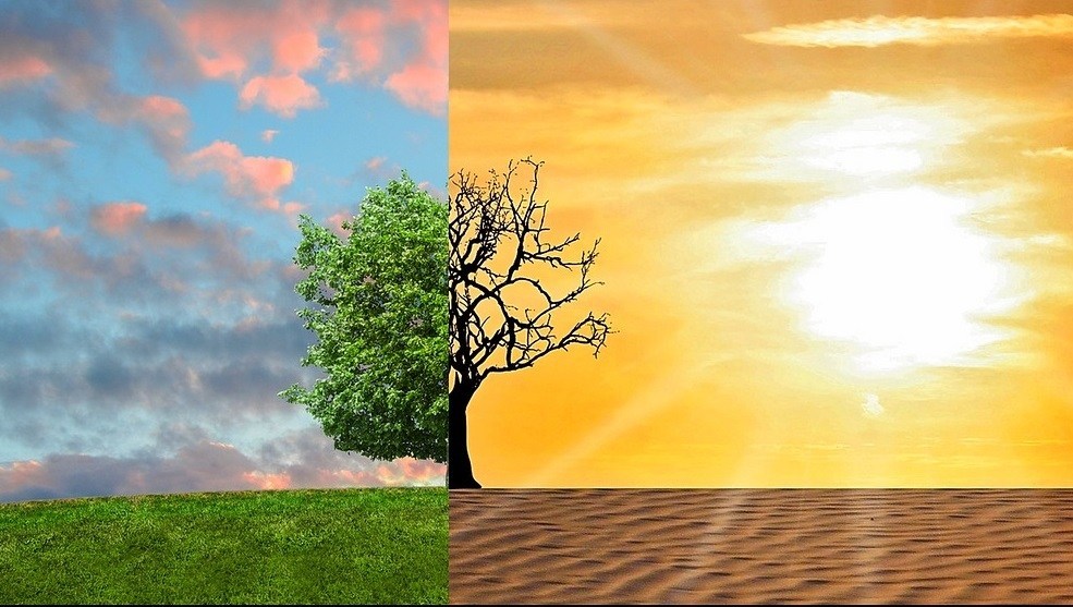ما هو يوم البيئة العالمي؟